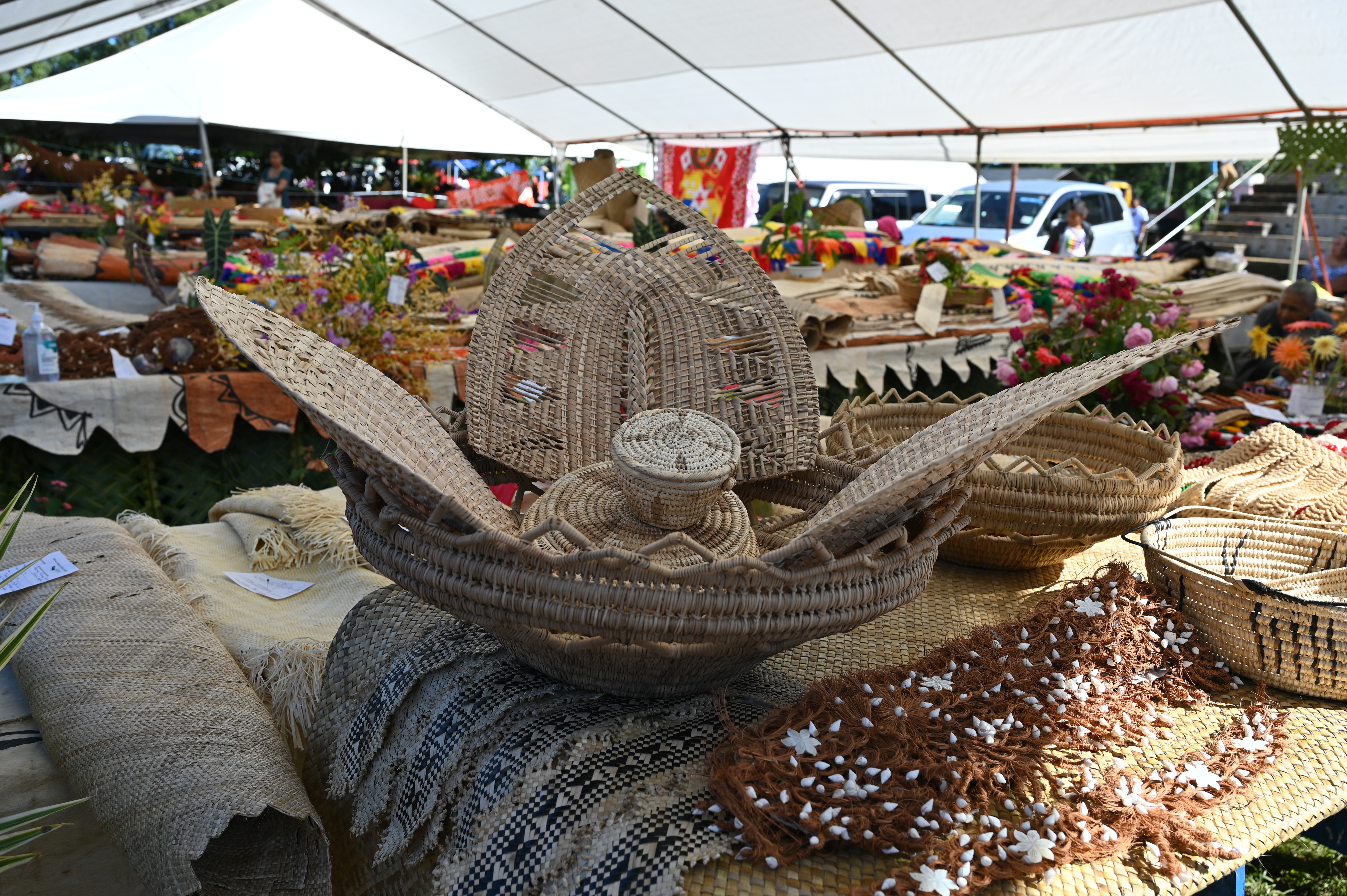 Monthly Economic Update: December 2025